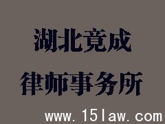 湖北竟成律师事务所